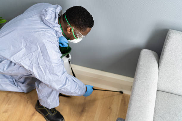 Best Termite Inspection and Treatment  in Oakwood, GA